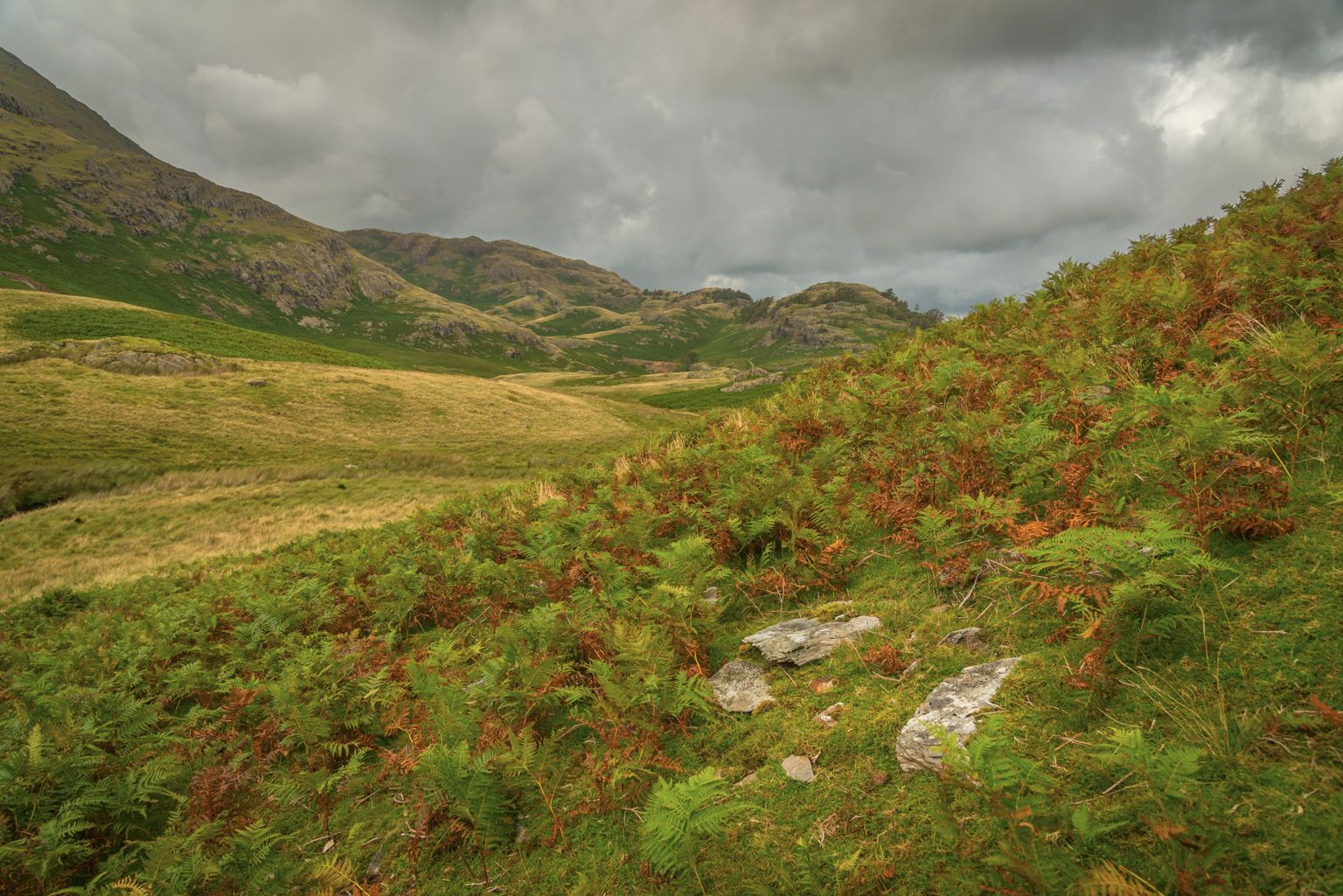 Low Tilberthwaite, Lake District