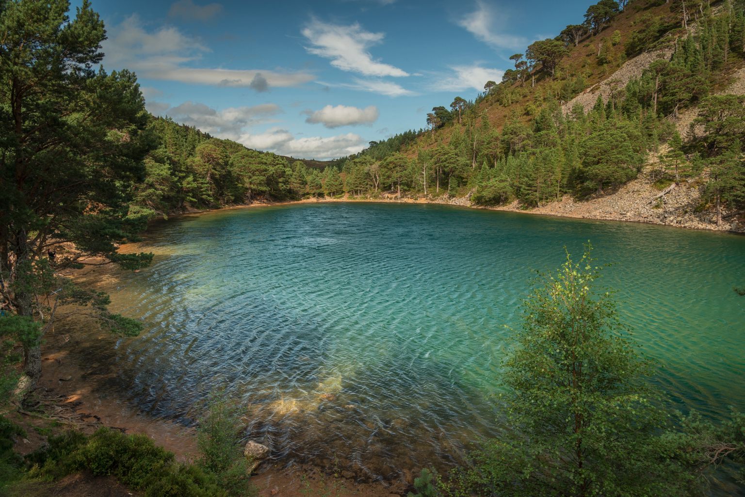 Petite marche tranquille dans les alentours de Glenmore, An Lochan Uaine, Ryvoan Pass, Parc des Cairngorms