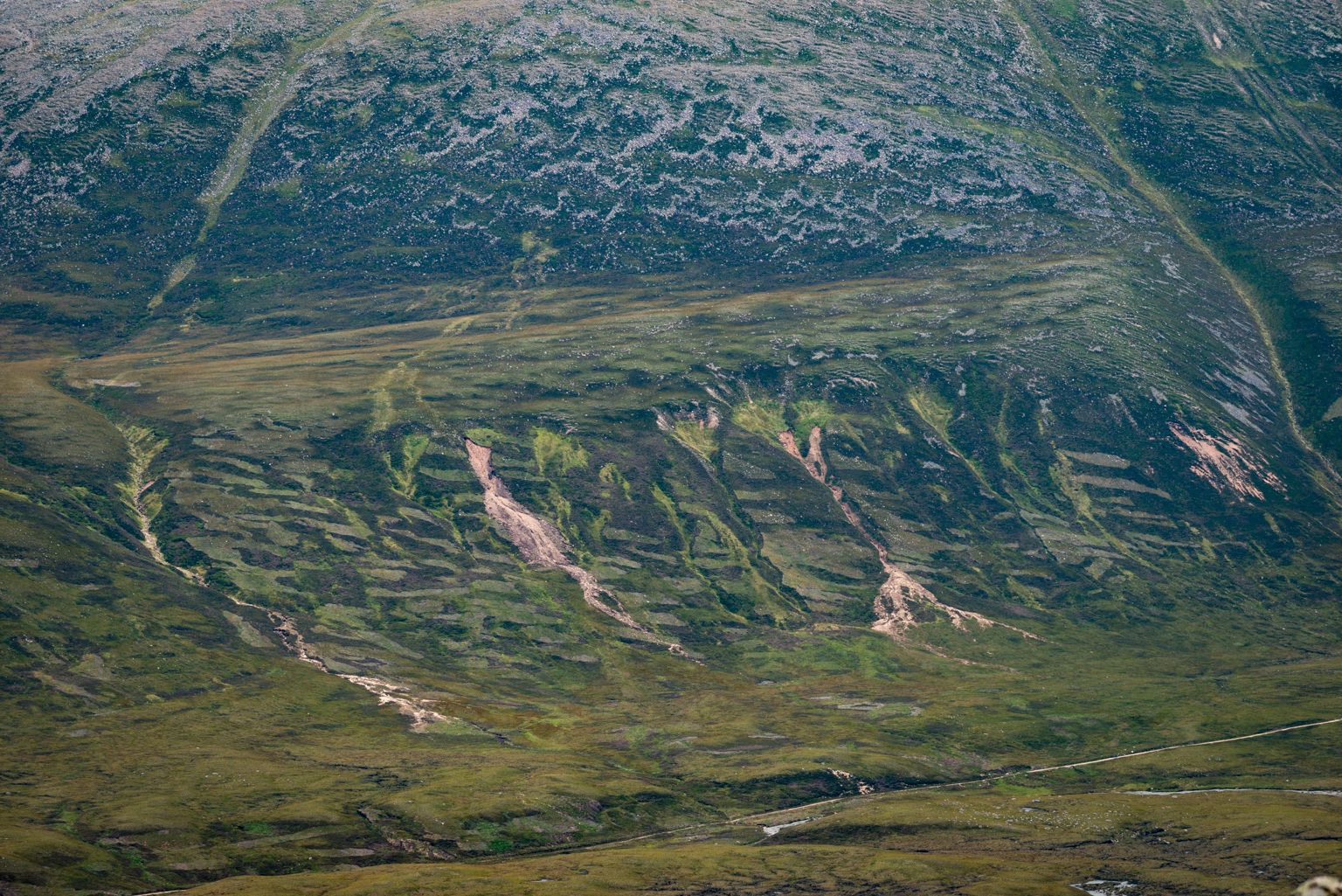 Pentes du Braeriach, en descendant d'Argyll Stone