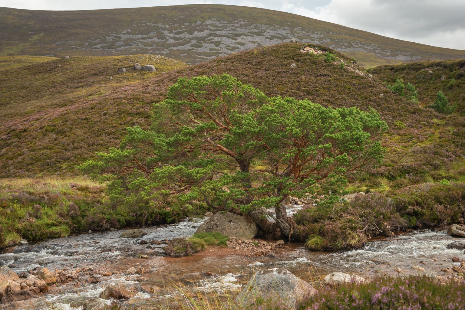 Parc des Cairngorms