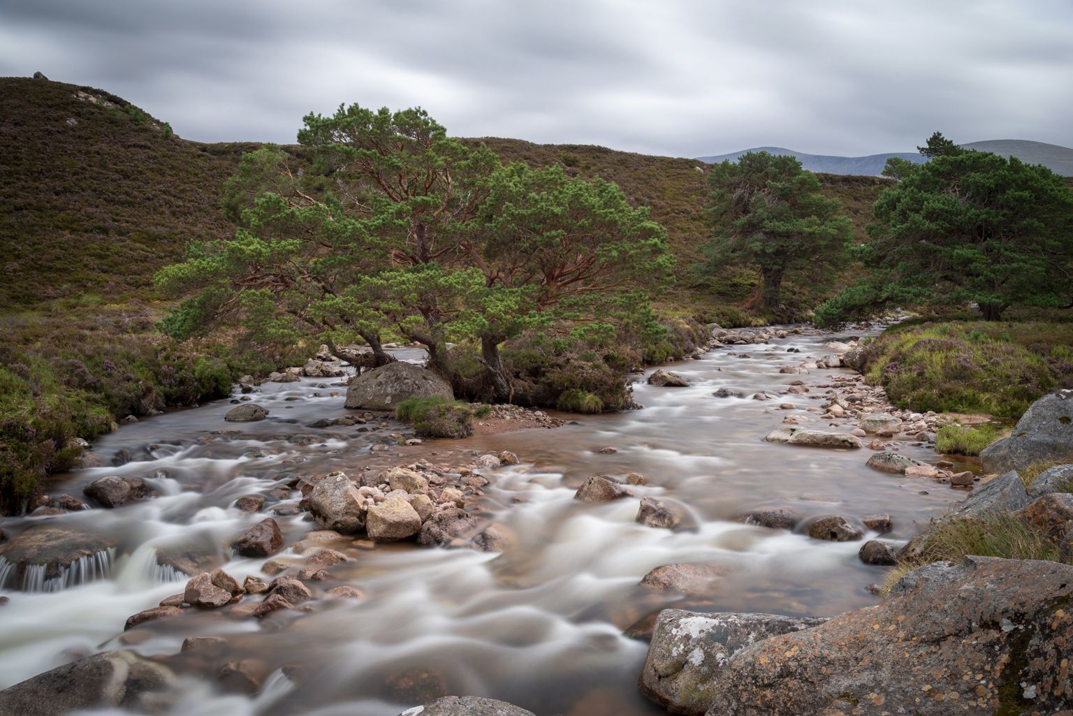 Parc des Cairngorms