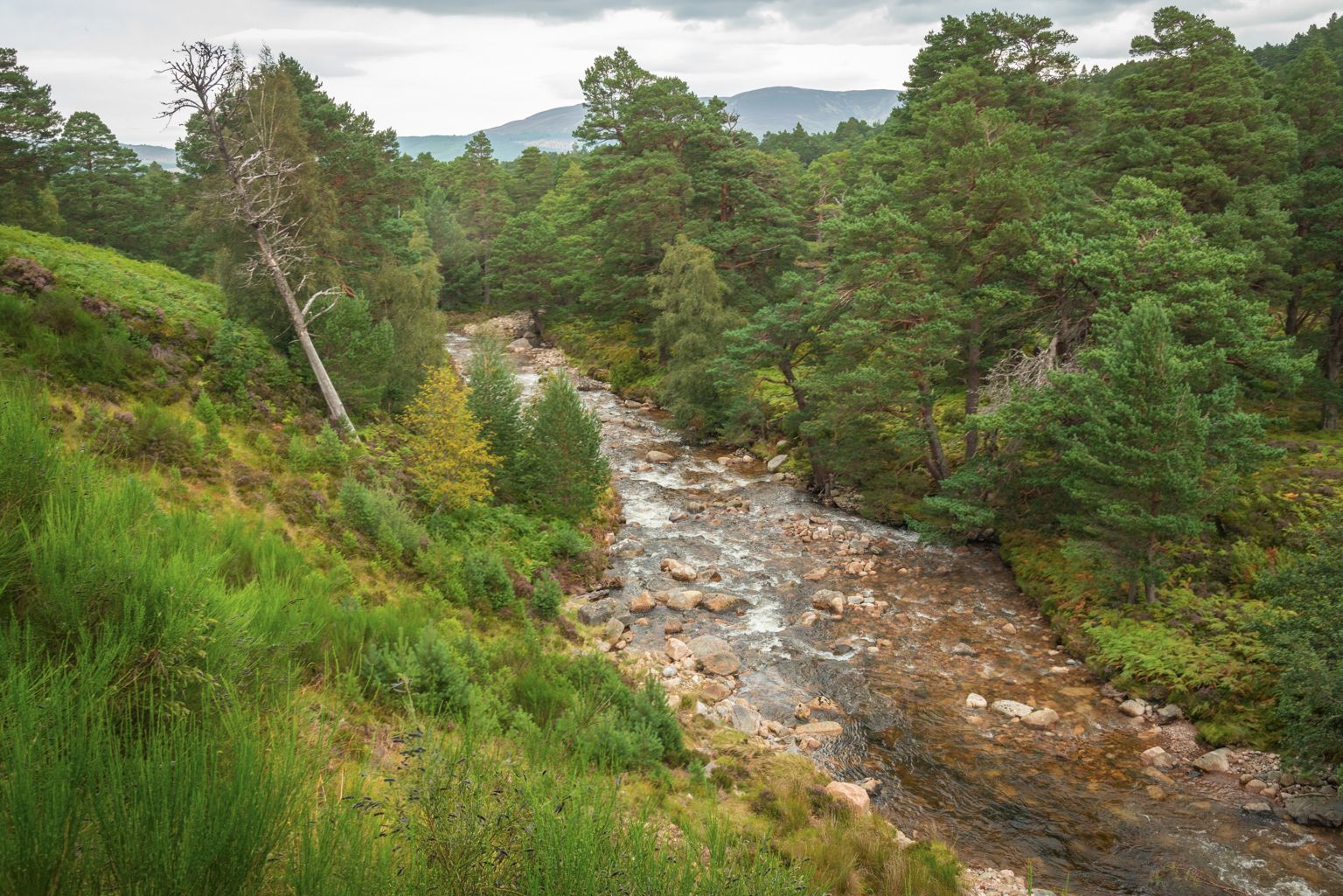 Am Beanaidh, Inverdruie