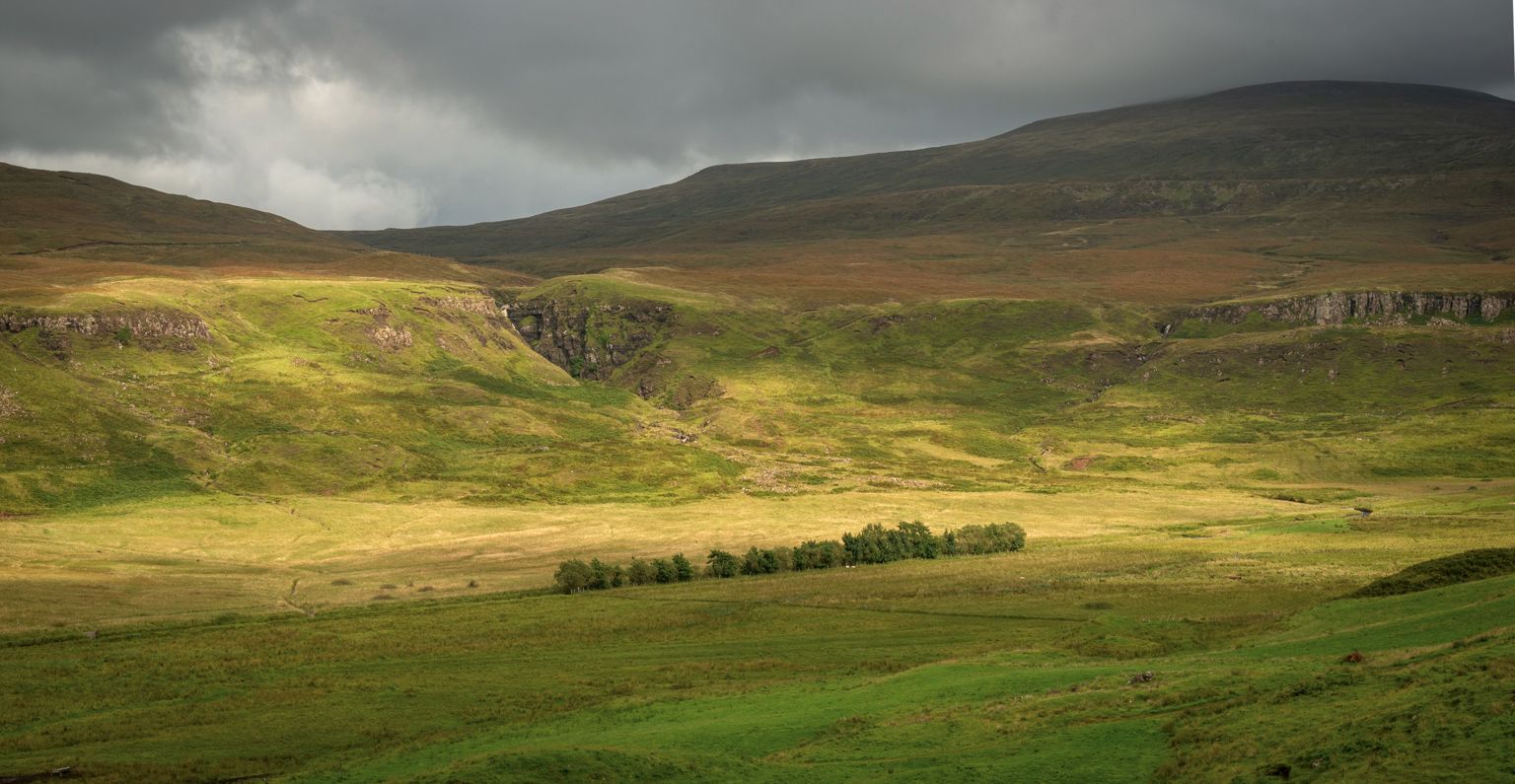 Fairy Glen