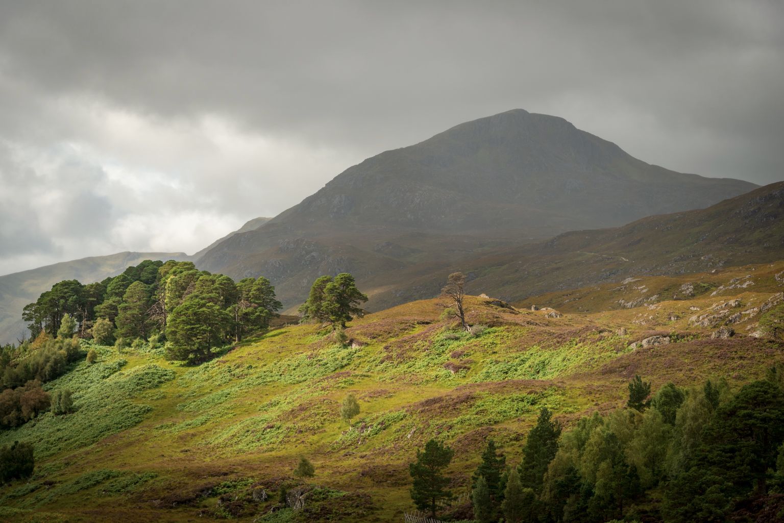 Glen Affric
