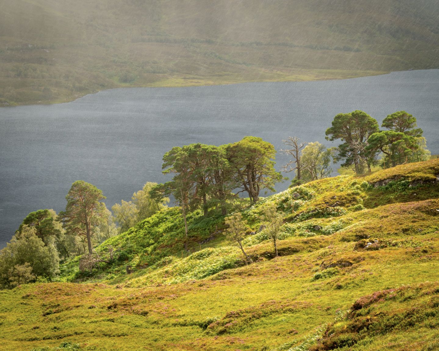 Glen Affric