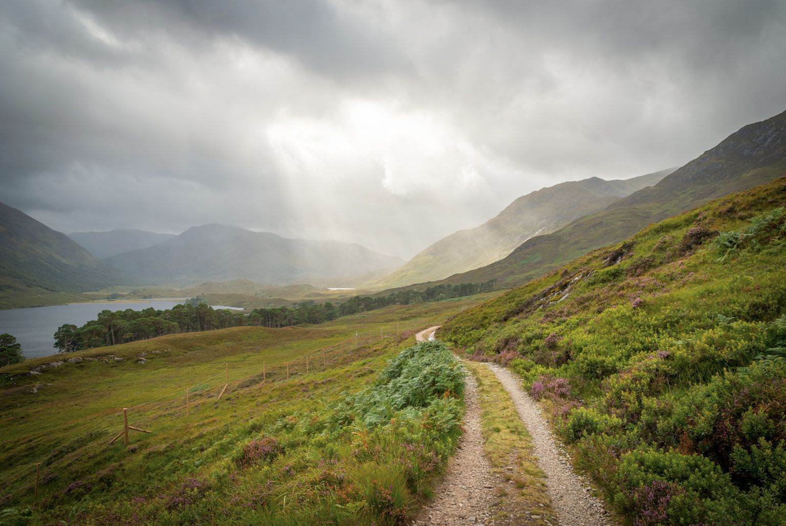 Glen Affric