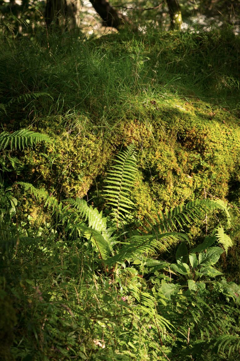Carsaig, Ile de Mull