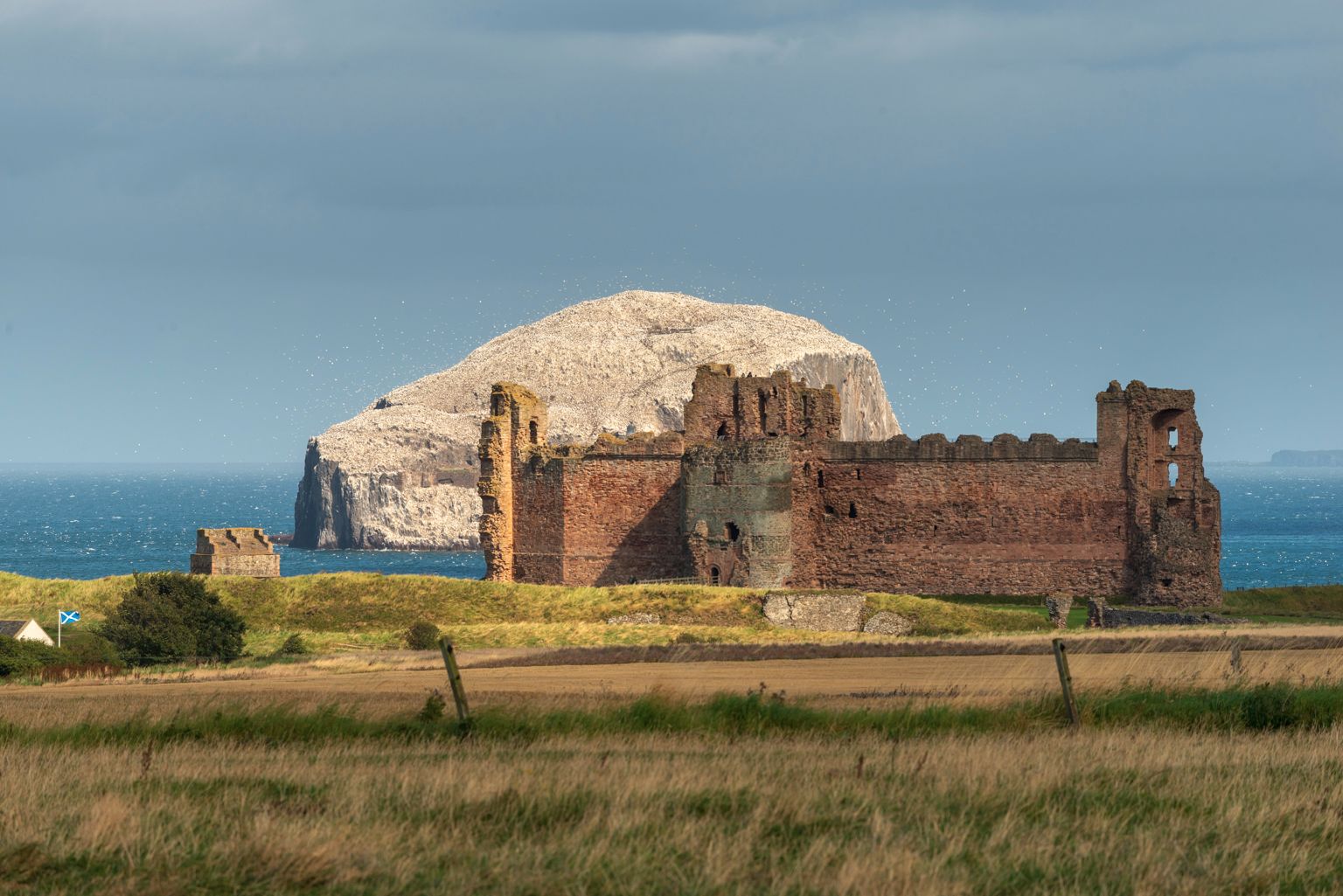 Bass Rock et Chateau de Tantallon