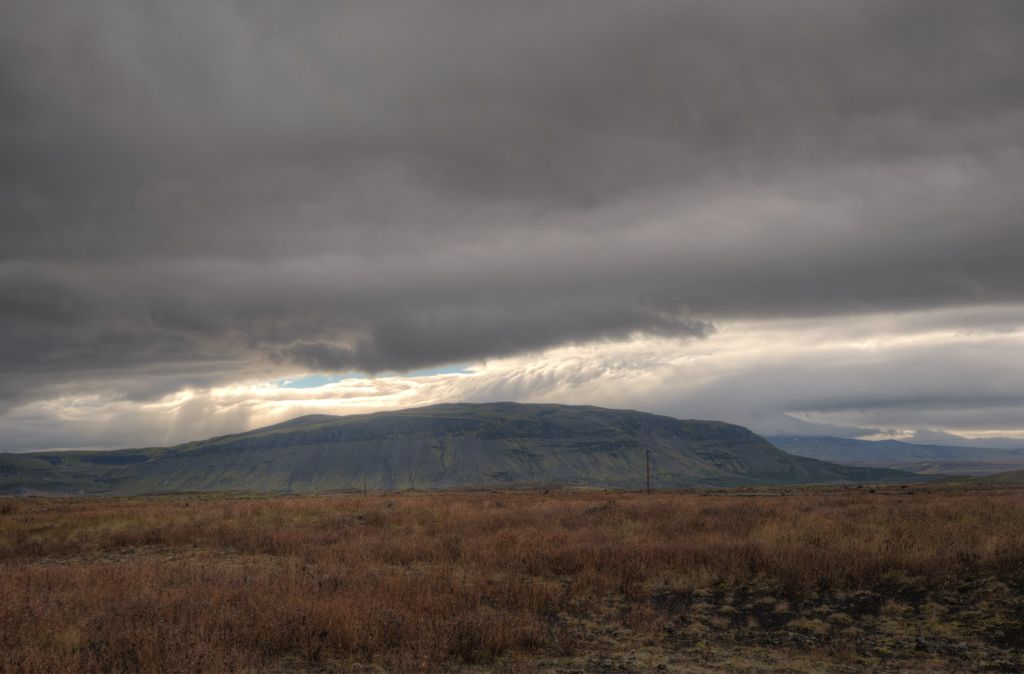 Búrfellsskógur