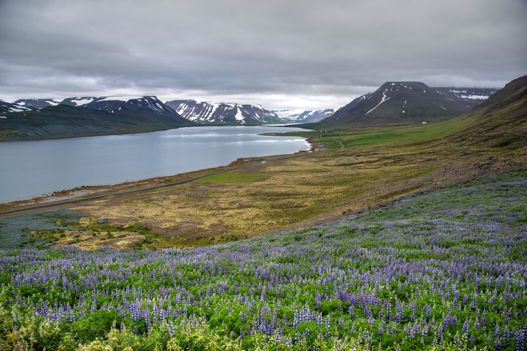  (Fjords de l'ouest)